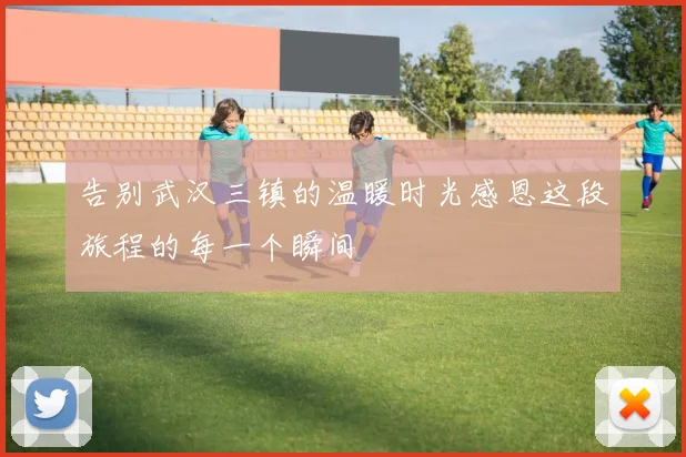 告别武汉三镇的温暖时光感恩这段旅程的每一个瞬间