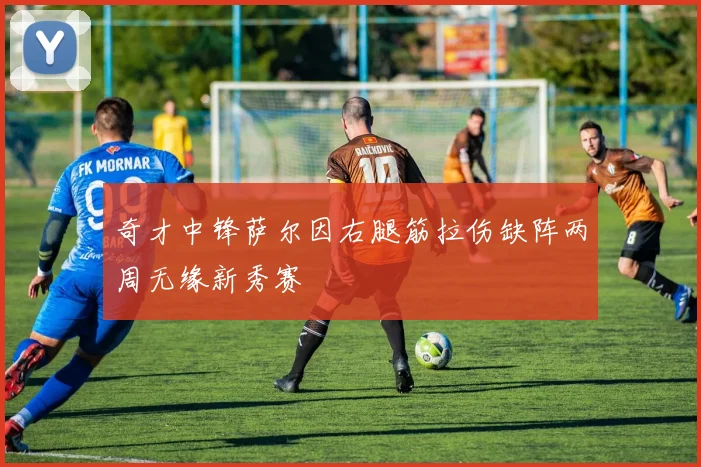 奇才中锋萨尔因右腿筋拉伤缺阵两周无缘新秀赛