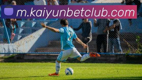 开云体育APP 封面图